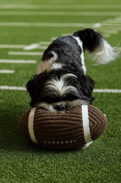 Madison review photo