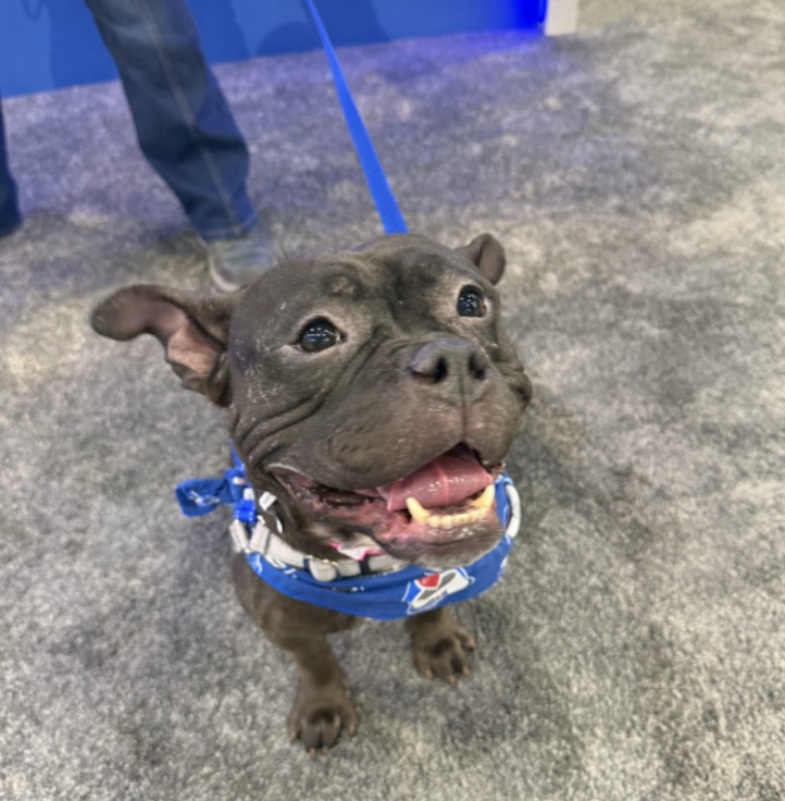 Deshawn Wilson review photo