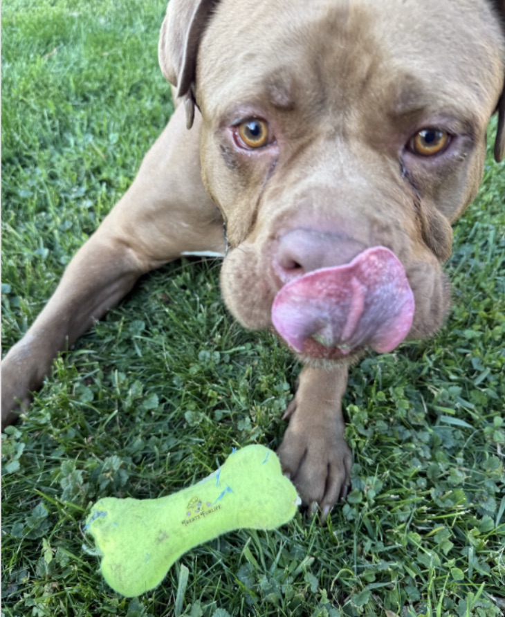 Jeff Jennings review photo